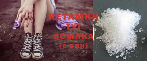 spice Богородицк