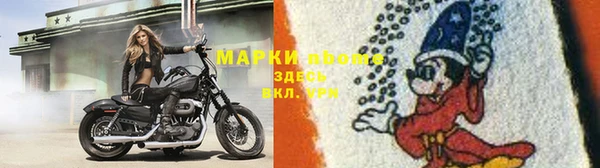 spice Белокуриха