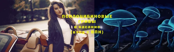 прущая мука Богородск