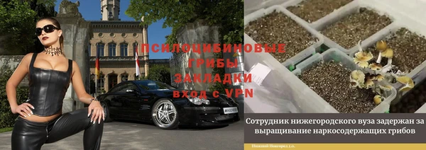 spice Белокуриха