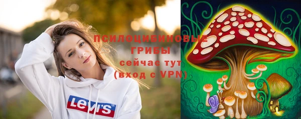гидра Белоозёрский