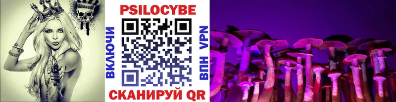 Галлюциногенные грибы GOLDEN TEACHER Владивосток